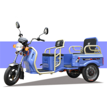 Mini Electric Trike Triocle